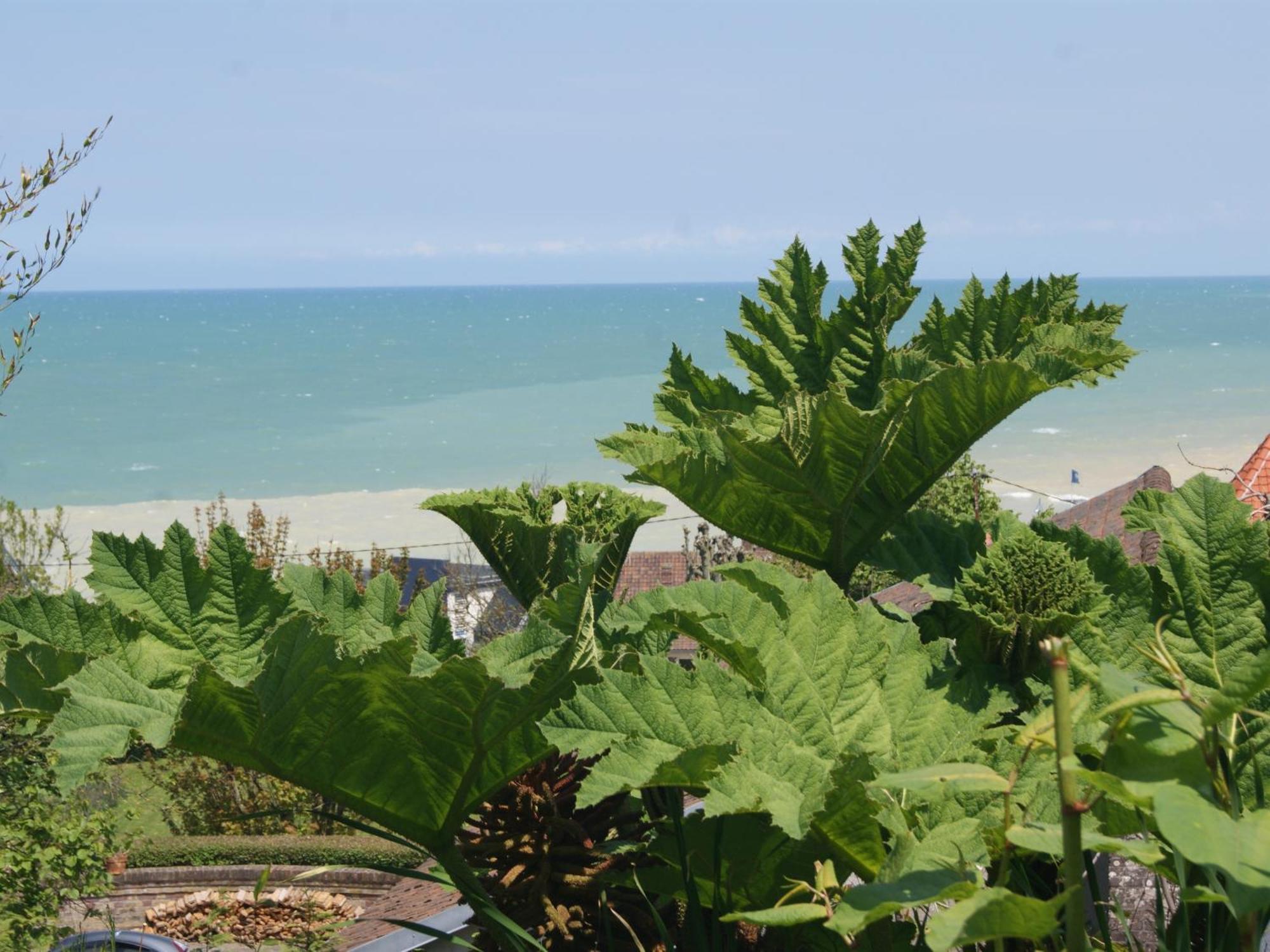 La Residence De La Villa Quartz Varengeville-sur-Mer Bagian luar foto